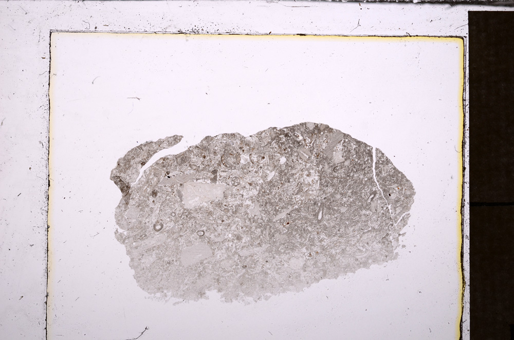 Plane Polarized, E33794