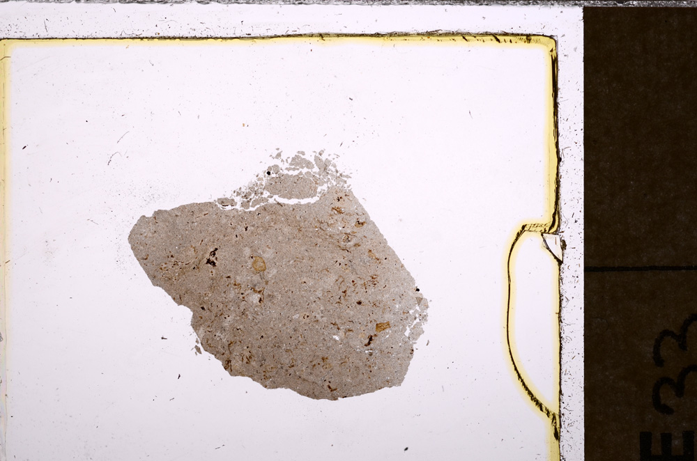 Plane Polarized, E33804