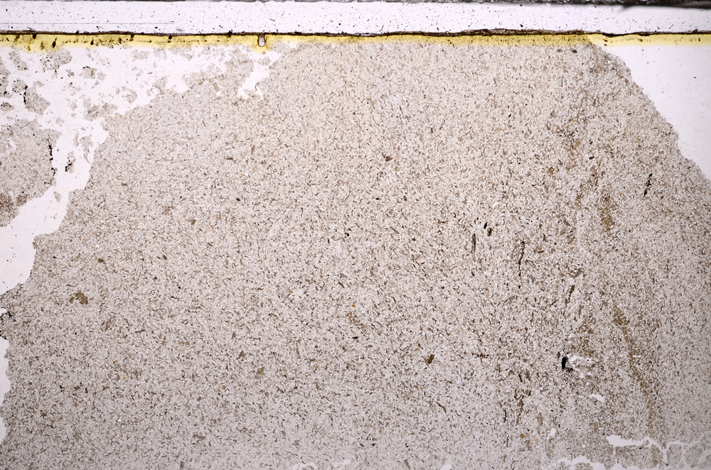 Plane Polarized, E33862