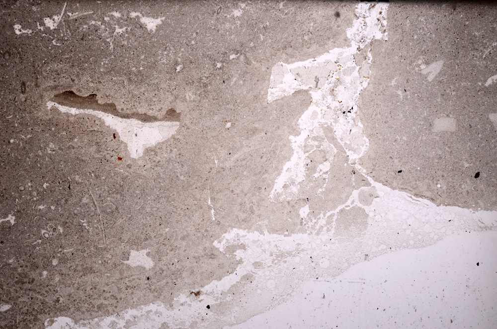 Plane Polarized, E33900