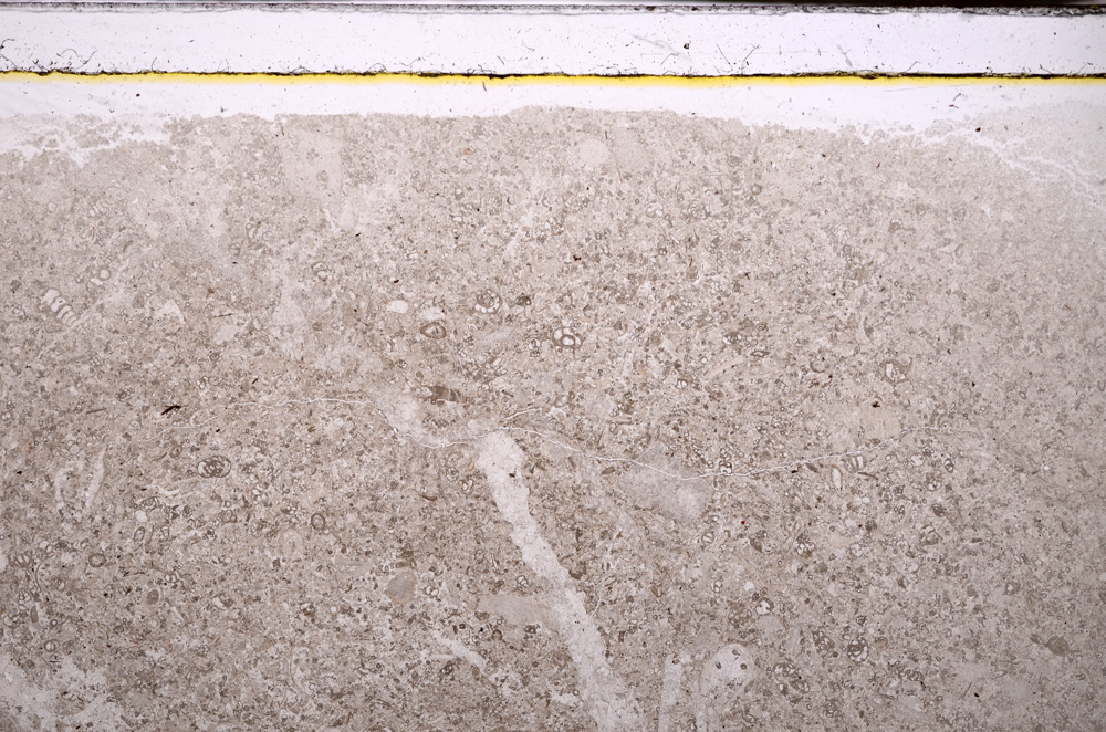 Plane Polarized, E33981