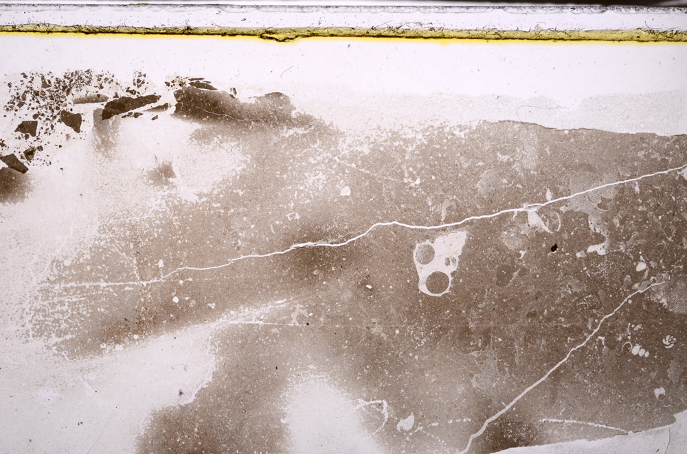 Plane Polarized, E33982