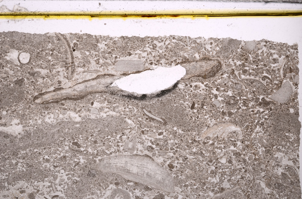 Plane Polarized, E33994