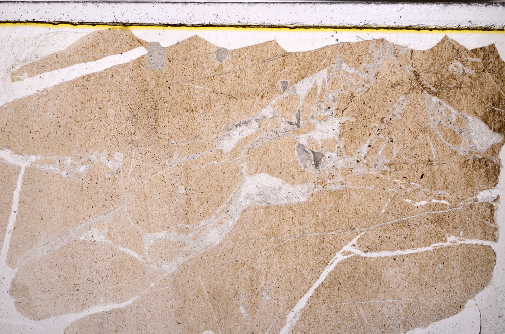 Plane Polarized, E34004