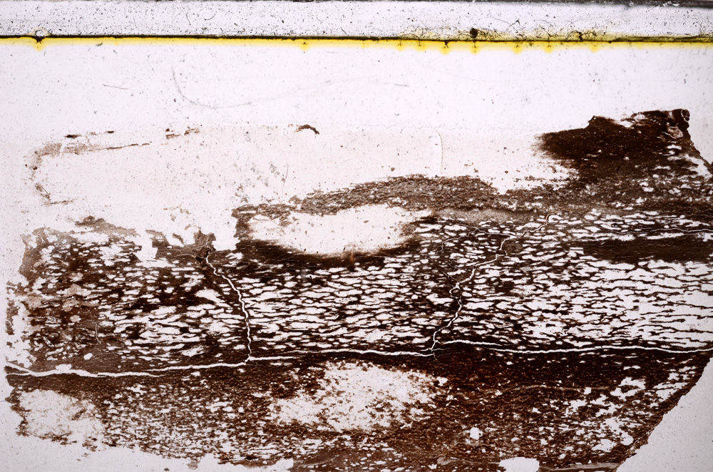 Plane Polarized, E34039