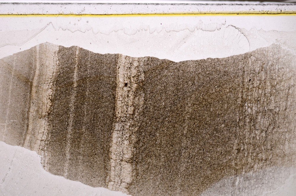 Plane Polarized, E34087