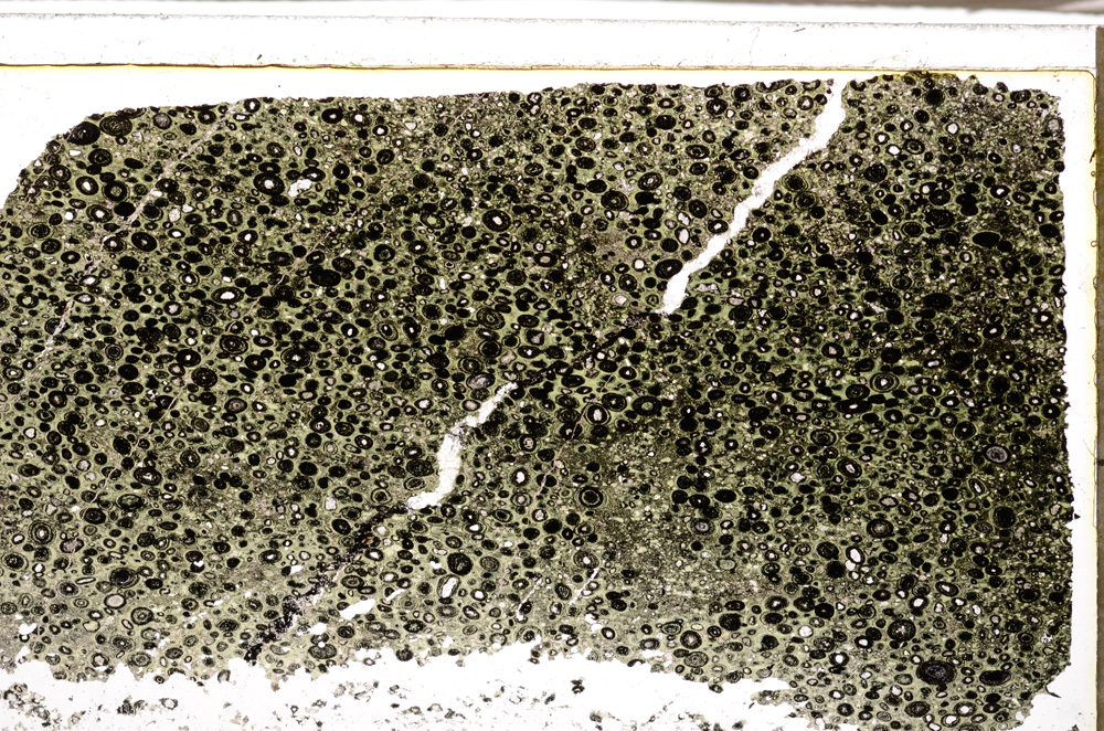 Plane Polarized, E34126
