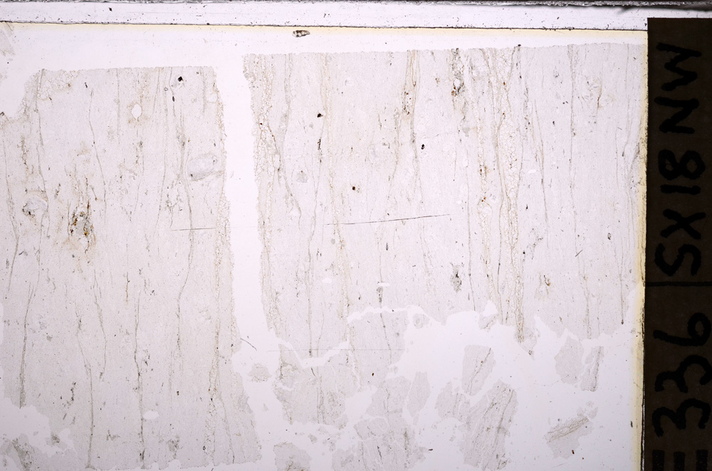 Plane Polarized, E34160