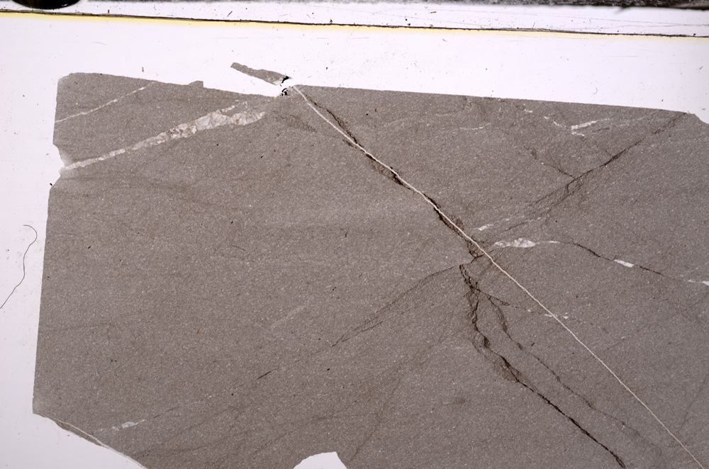 Plane Polarized, E34180