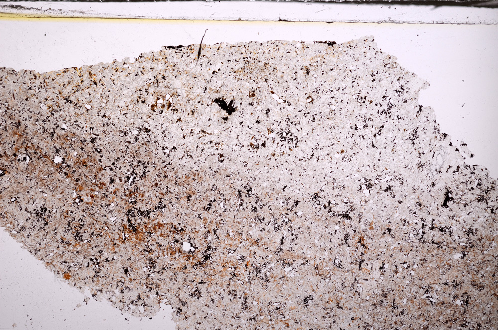 Plane Polarized, E34223