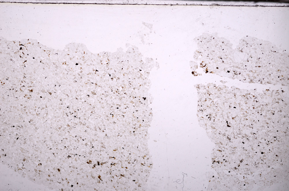 Plane Polarized, E34231