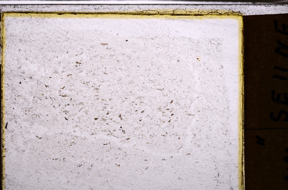 Plane Polarized, E34353