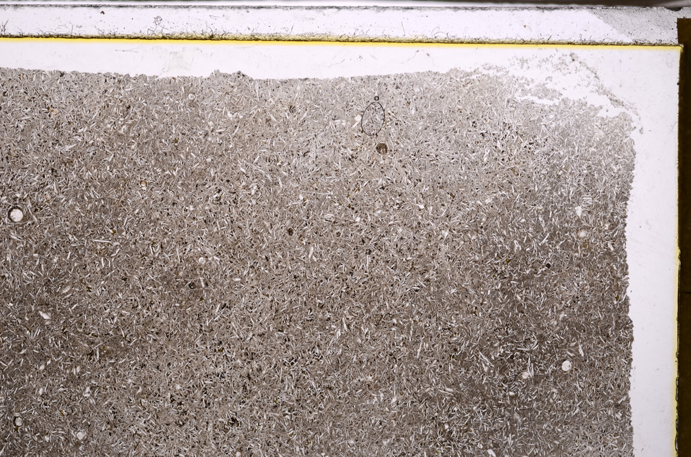 Plane Polarized, E34393