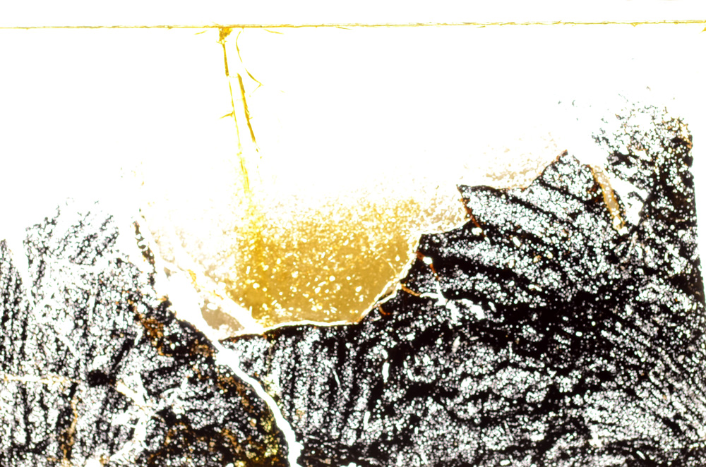 Plane Polarized, E34394