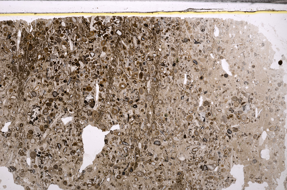 Plane Polarized, E34461