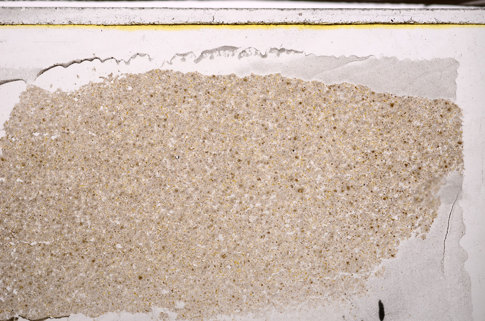 Plane Polarized, E34538