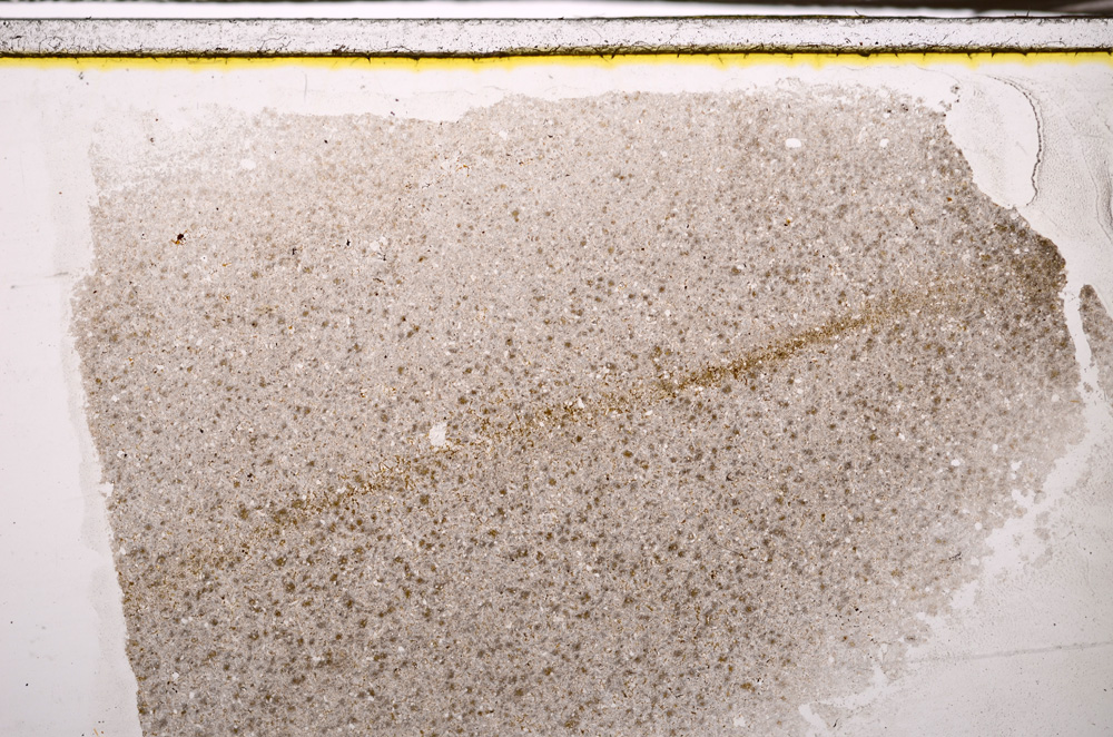 Plane Polarized, E34539