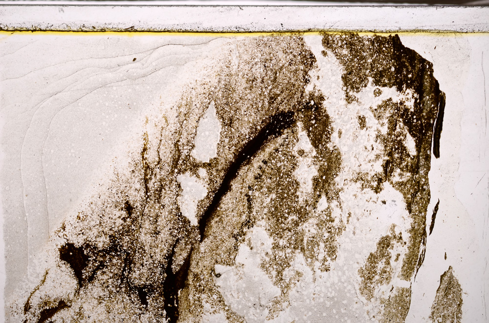 Plane Polarized, E34540