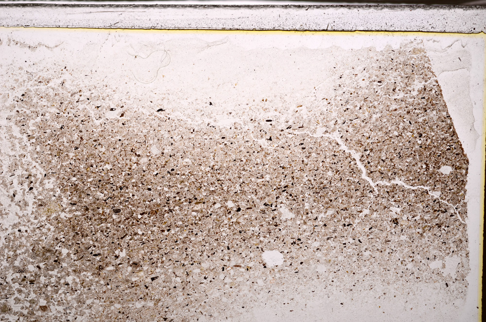 Plane Polarized, E34541