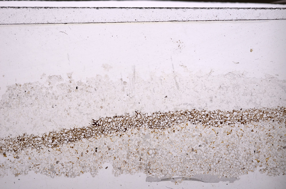 Plane Polarized, E34577