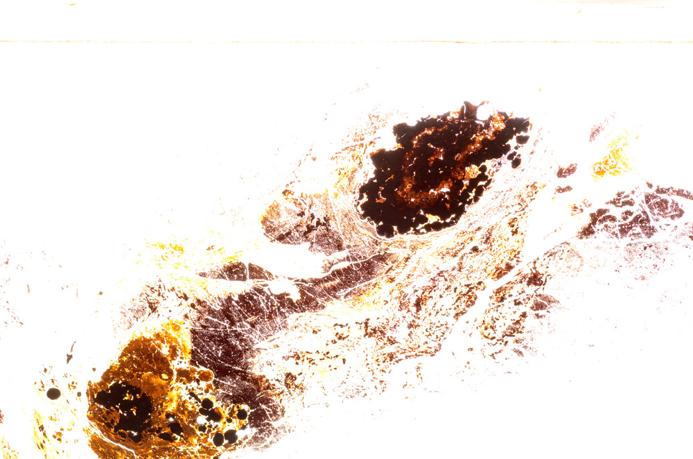 Plane Polarized, E34638