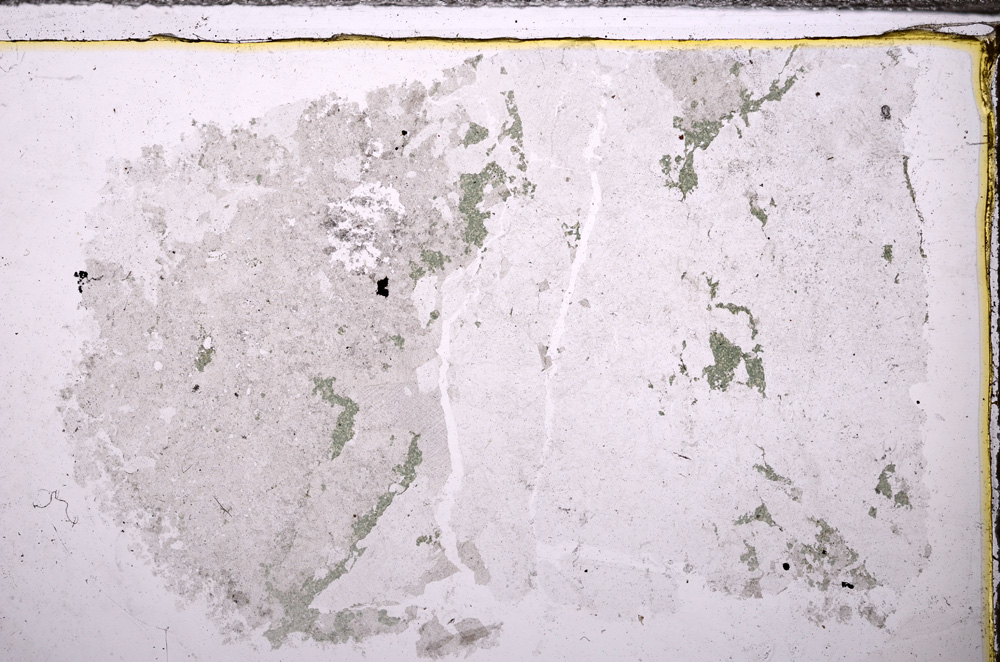 Plane Polarized, E34671