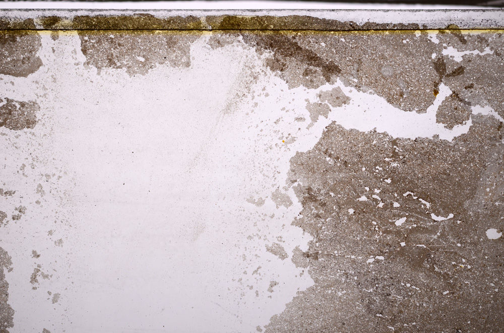 Plane Polarized, E34869