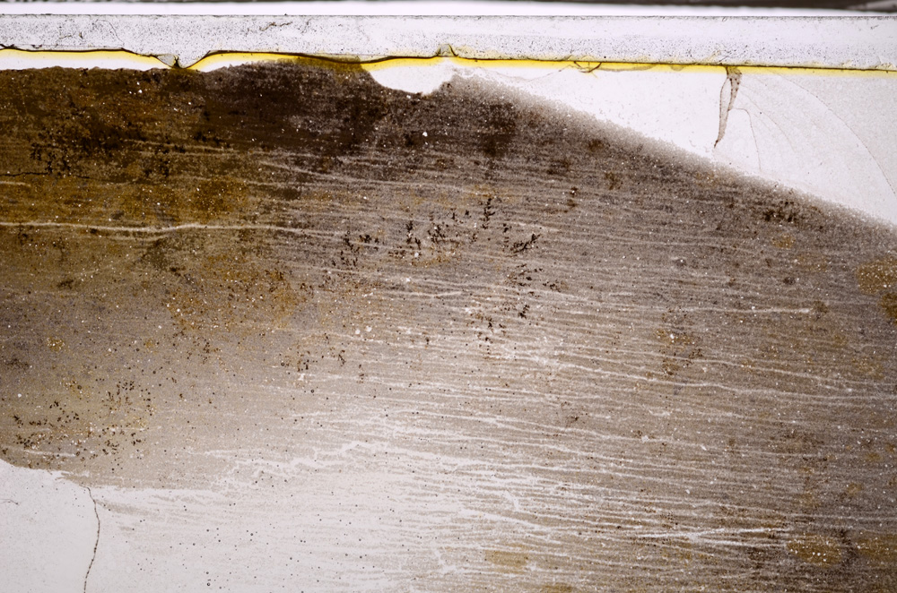 Plane Polarized, E34870