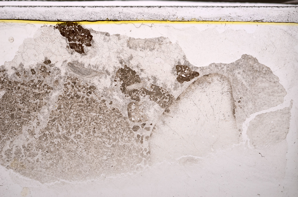 Plane Polarized, E34876