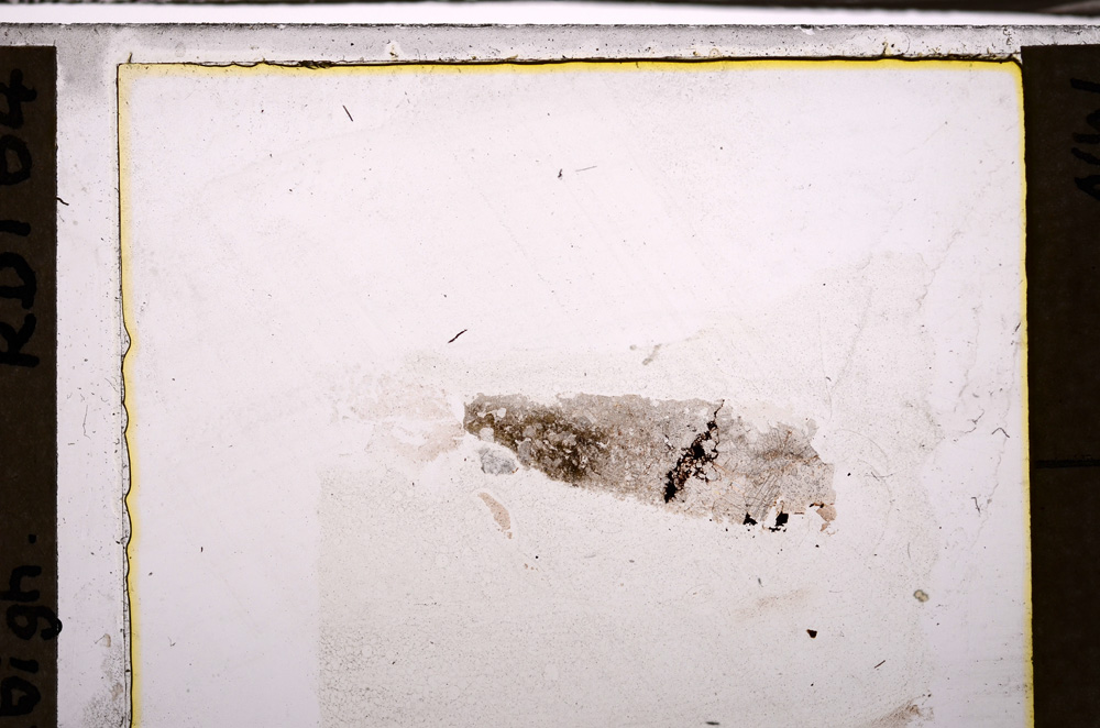 Plane Polarized, E34881