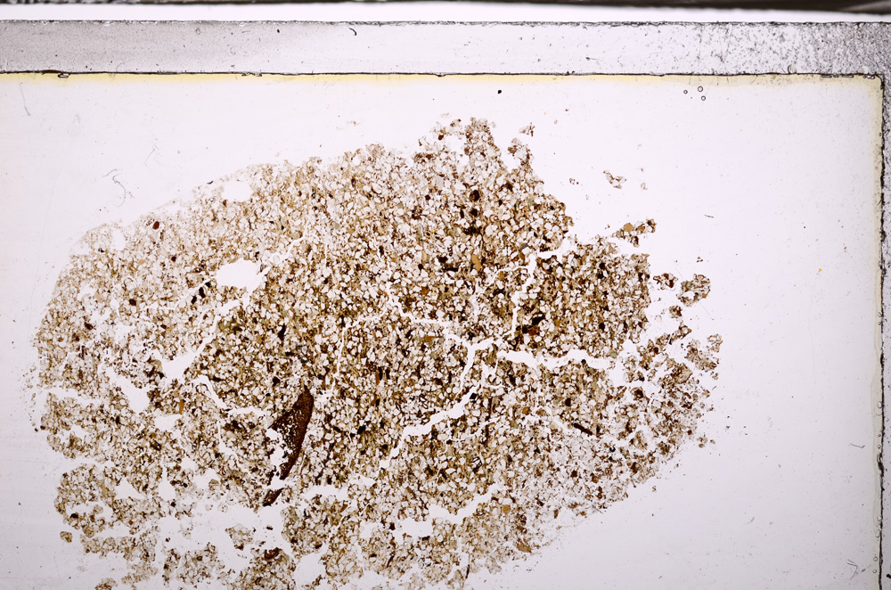 Plane Polarized, E34903