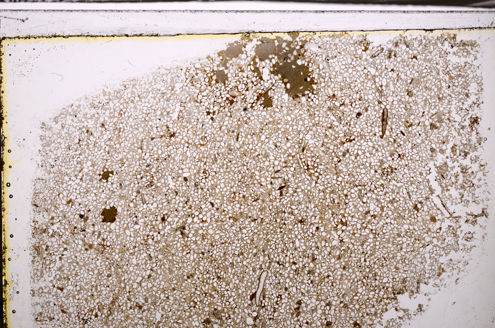 Plane Polarized, E34904