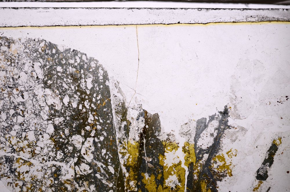 Plane Polarized, E34994