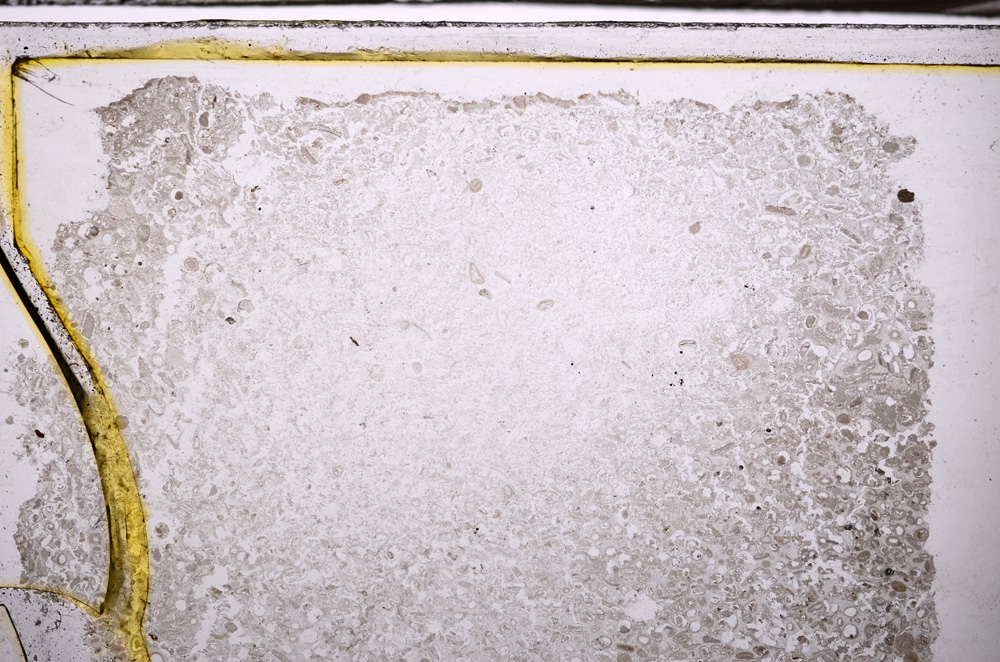 Plane Polarized, E35099
