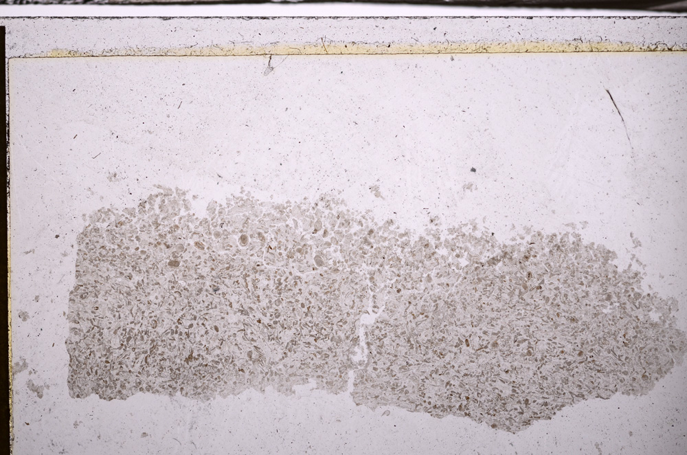 Plane Polarized, E35110