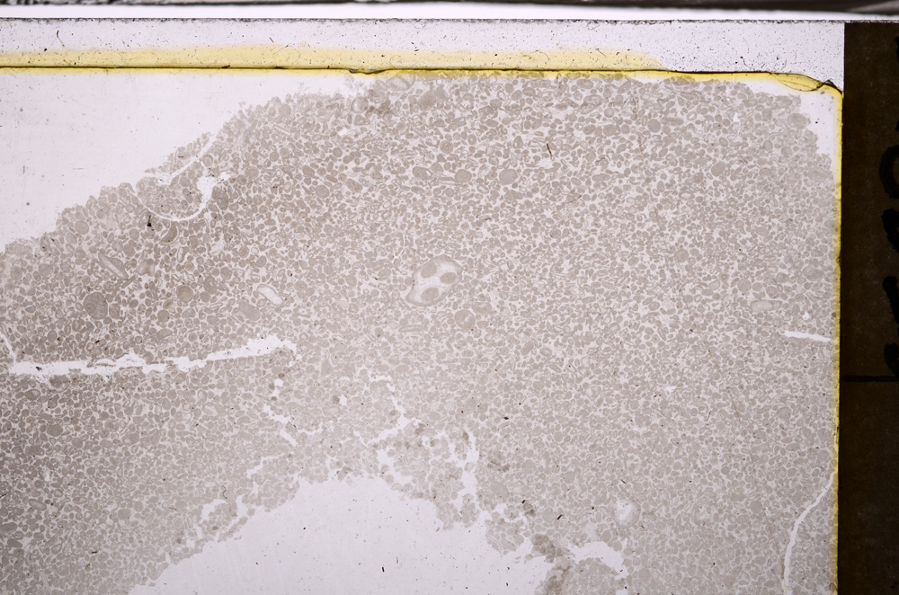 Plane Polarized, E35122