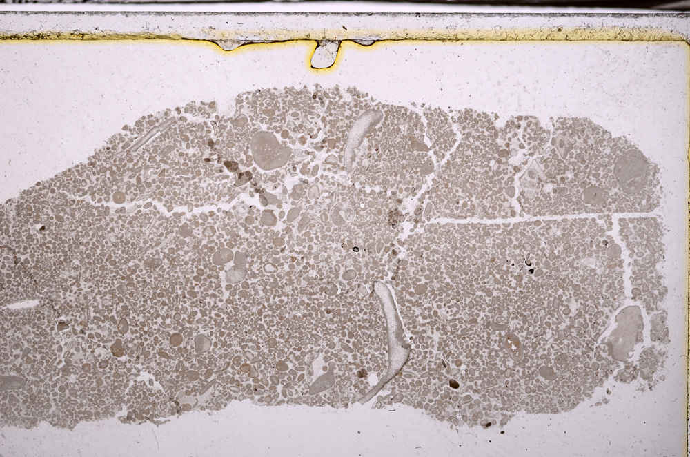 Plane Polarized, E35124