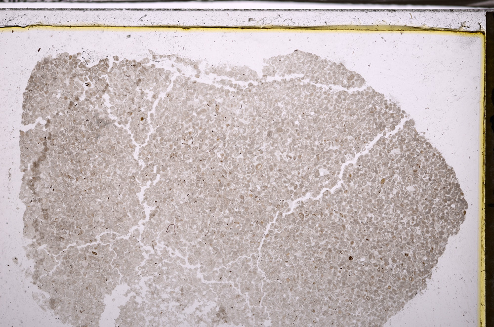 Plane Polarized, E35141