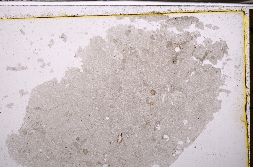 Plane Polarized, E35151