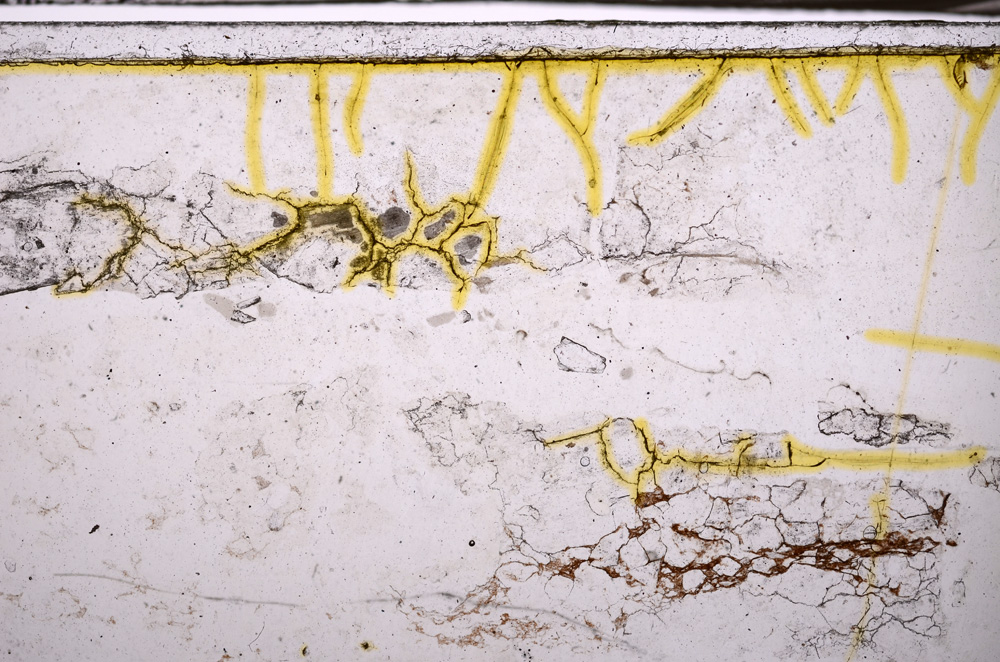 Plane Polarized, E35220