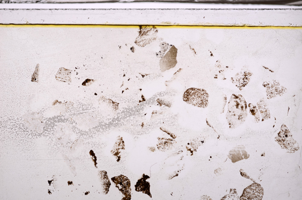 Plane Polarized, E35591