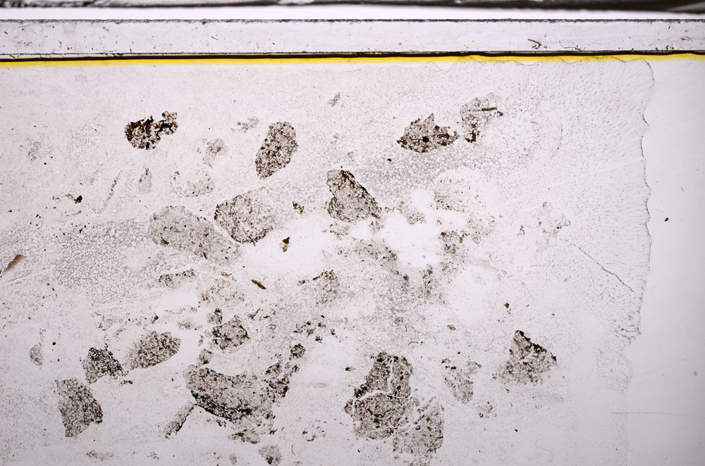 Plane Polarized, E35593