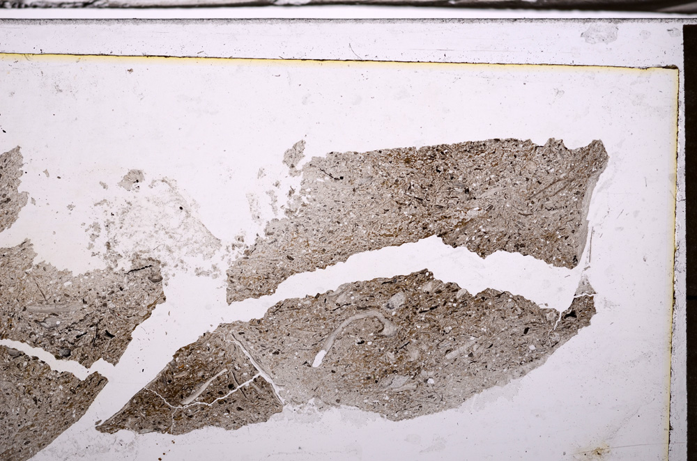 Plane Polarized, E35641