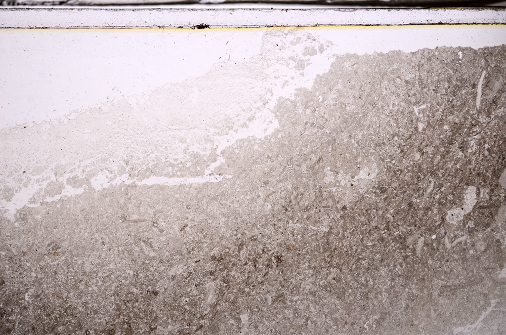 Plane Polarized, E35663