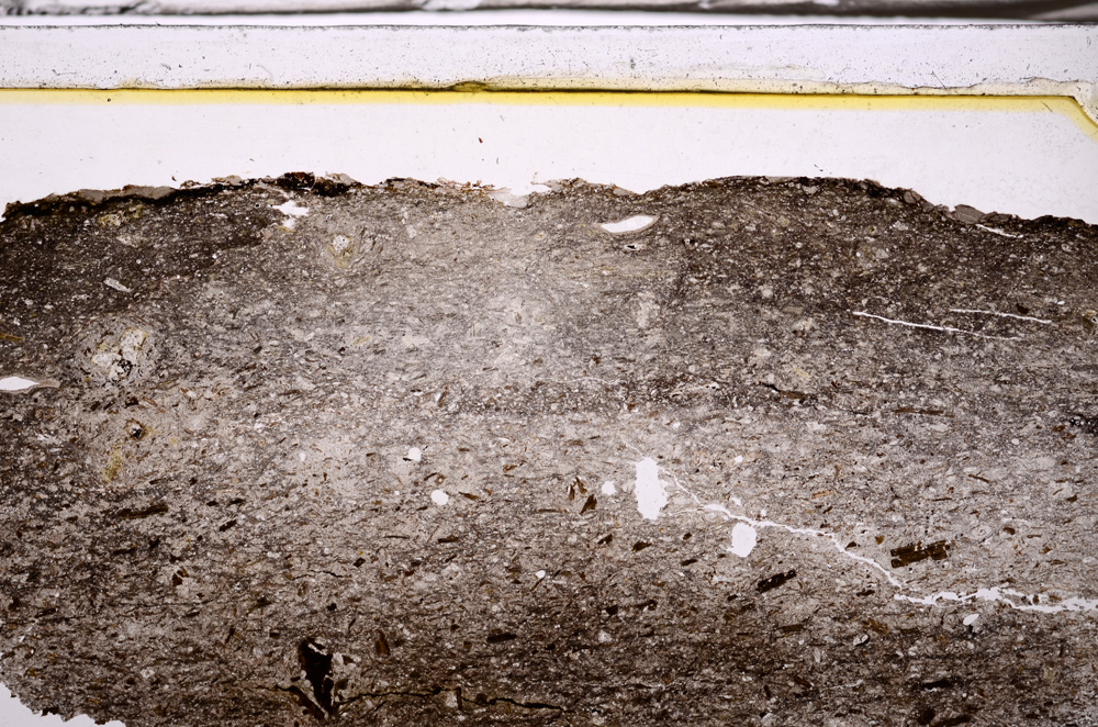 Plane Polarized, E35832