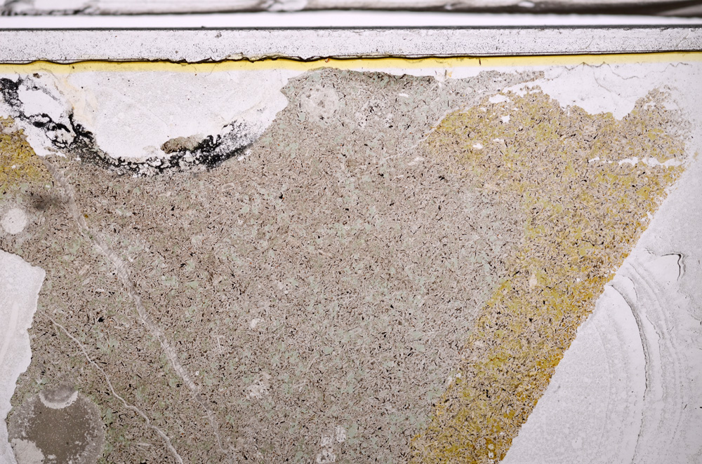 Plane Polarized, E35896