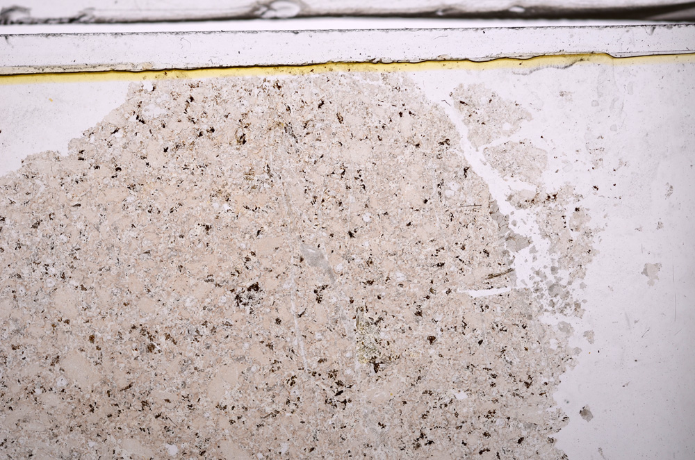 Plane Polarized, E35918