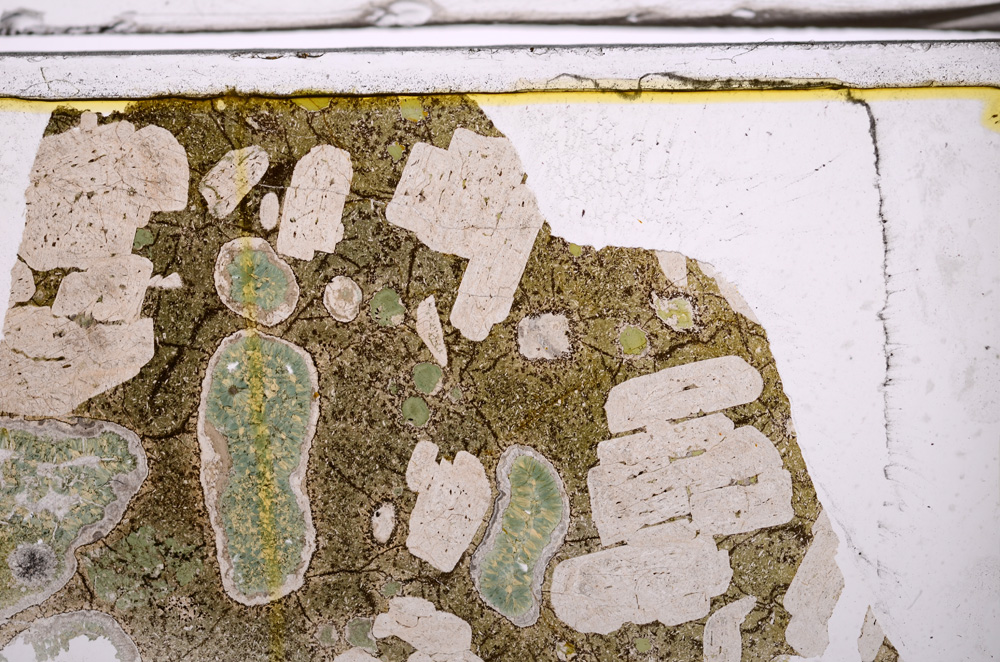 Plane Polarized, E35925