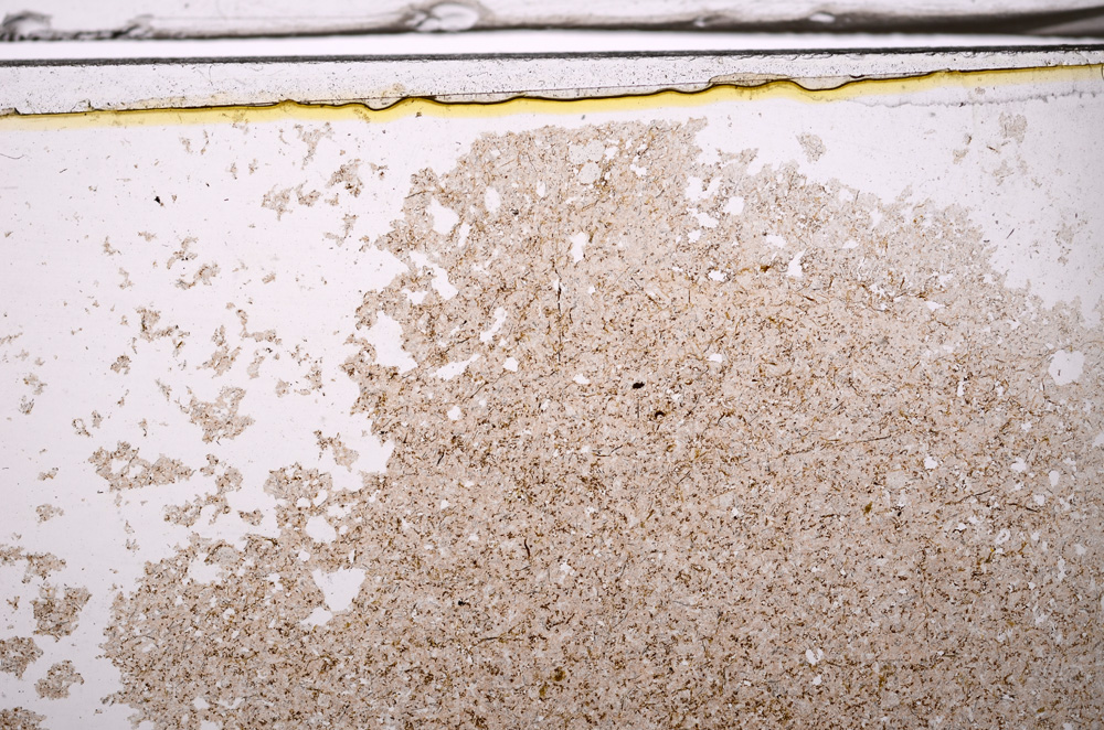 Plane Polarized, E35947