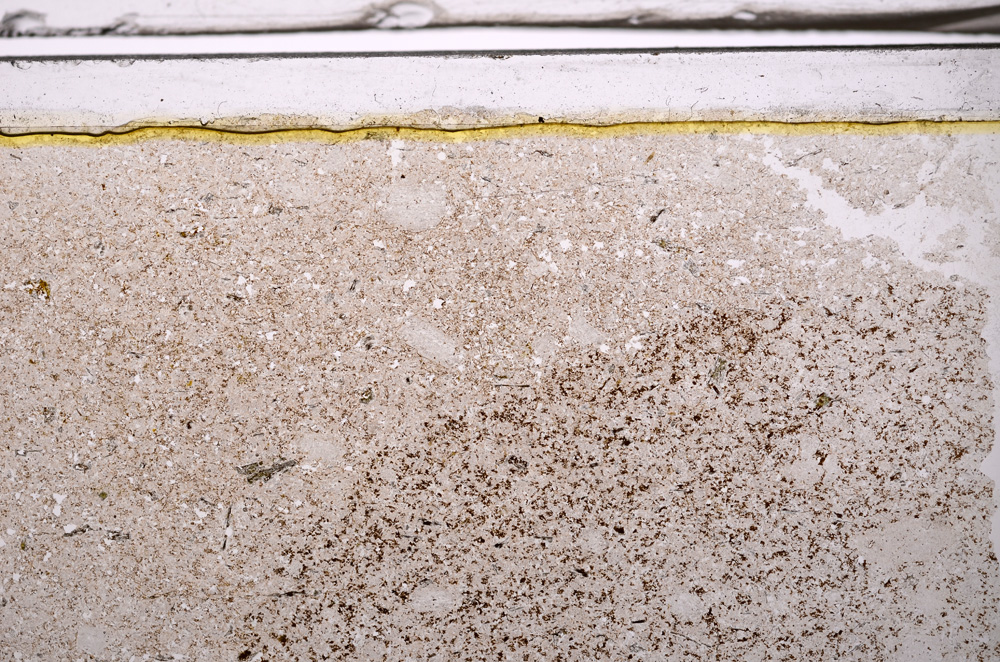 Plane Polarized, E35949